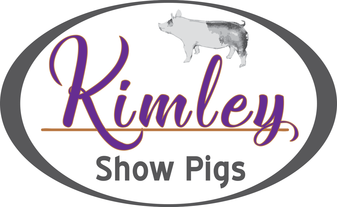 Kimley Showpigs